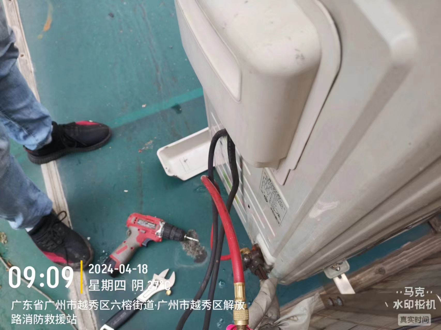 04越秀解放北加雪种1.jpg